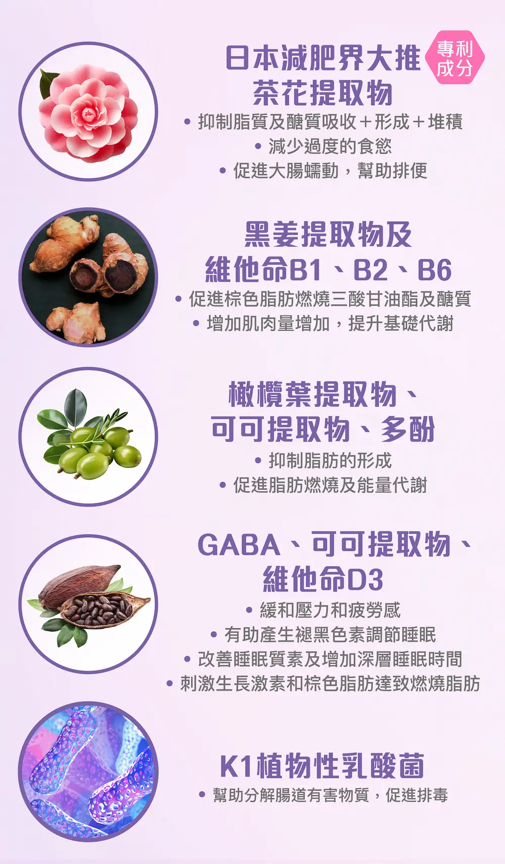 202403 GoodnightFat Landing page 05