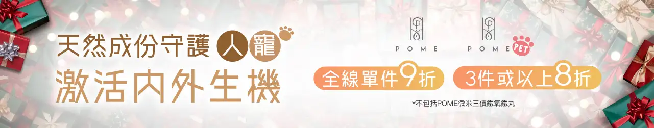 20251106 Xmas Campaign Page Materials 1280 x 250 05