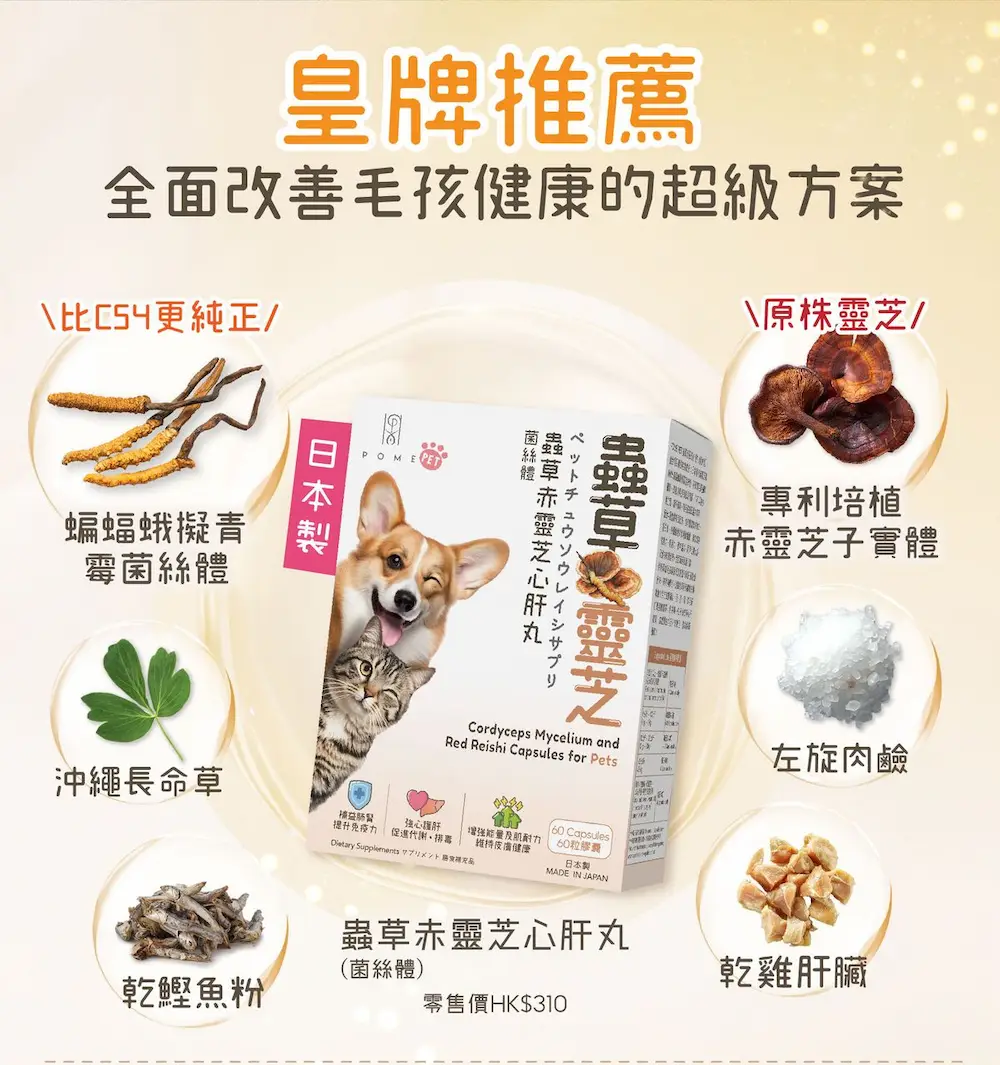 XjdyDBlEcg20251211131643