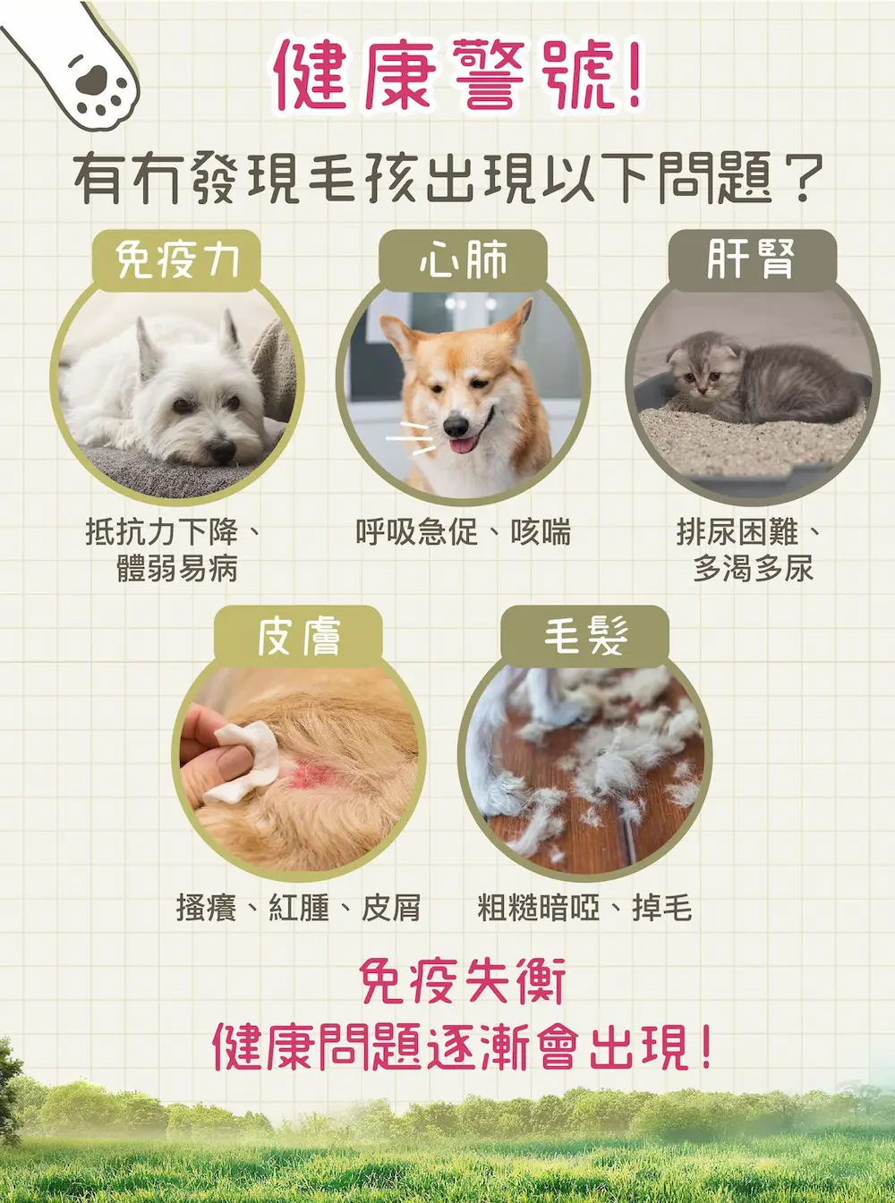 fvXCuJCVIp20251118154257