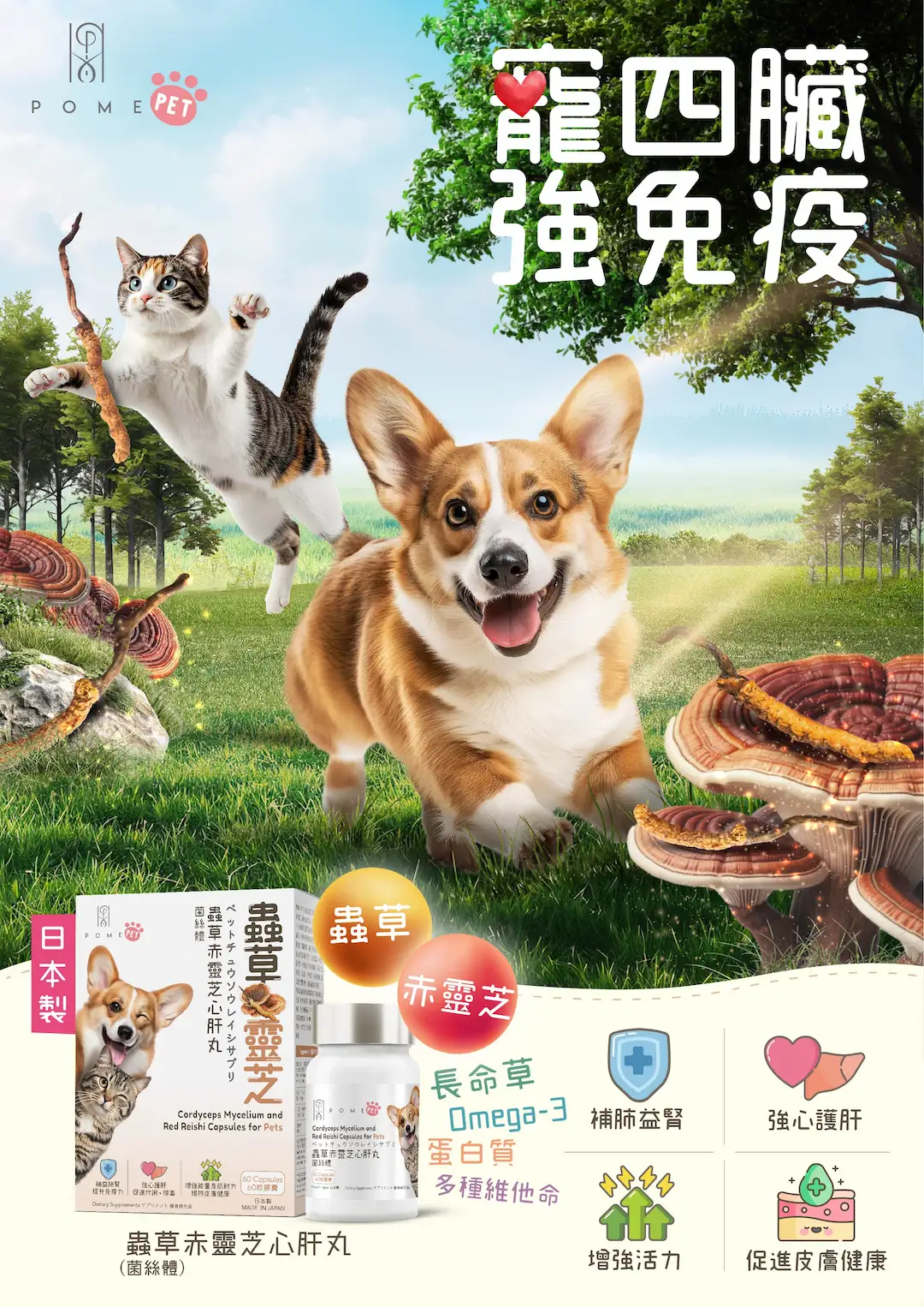 寵四臟 強兔疫，POME PET 蟲草赤靈芝心肝丸