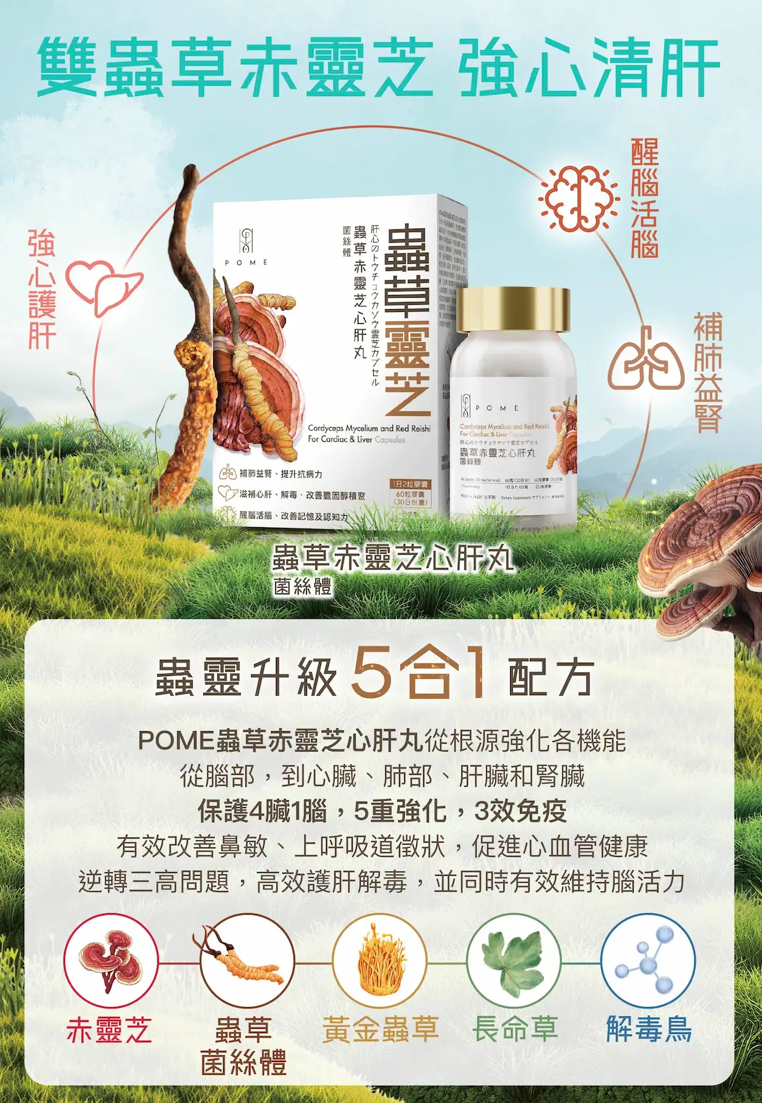 202509 POME Cordyceps and Probiotics Landing page %E5%B7%A5%E4%BD%9C%E5%8D%80%E5%9F%9F 1 %E8%A4%87%E6%9C%AC 4