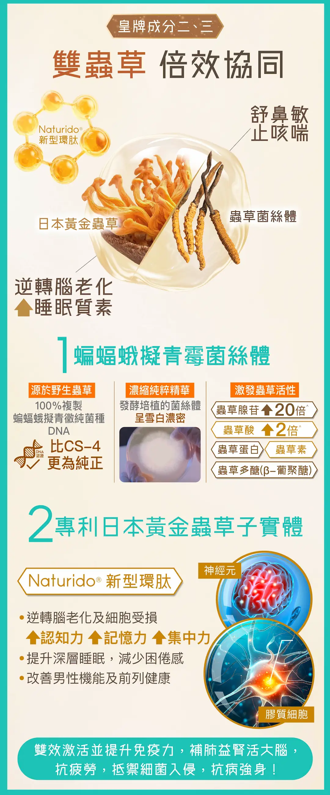 202509 POME Cordyceps and Probiotics Landing page %E5%B7%A5%E4%BD%9C%E5%8D%80%E5%9F%9F 1 %E8%A4%87%E6%9C%AC 6