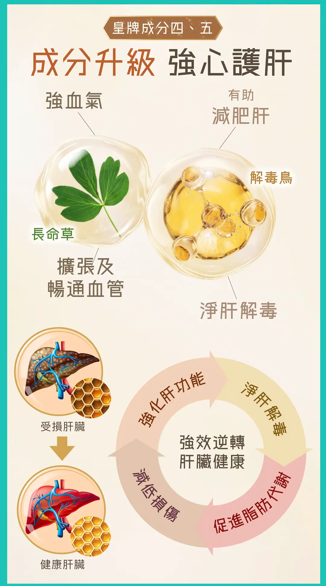 202509 POME Cordyceps and Probiotics Landing page %E5%B7%A5%E4%BD%9C%E5%8D%80%E5%9F%9F 1 %E8%A4%87%E6%9C%AC 7