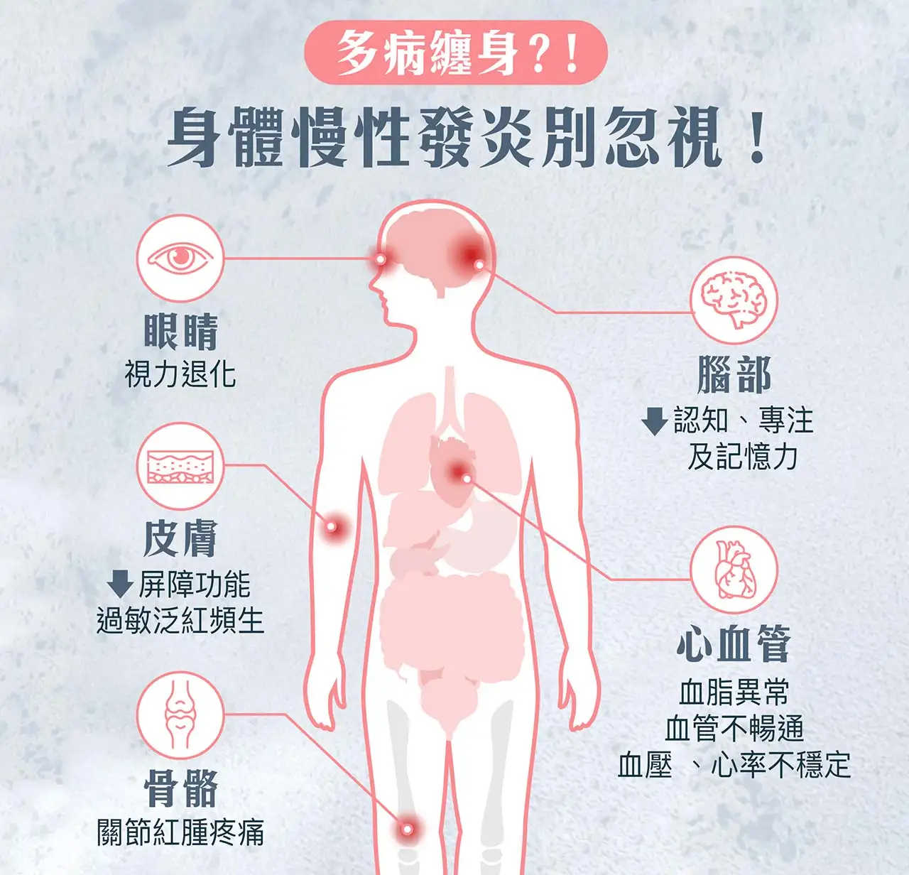 SynTernals 純素 Omega-3 藻油丸，從根源減少炎症，並有助強化心血管健康、補腦和增強認知力、維持視力敏銳