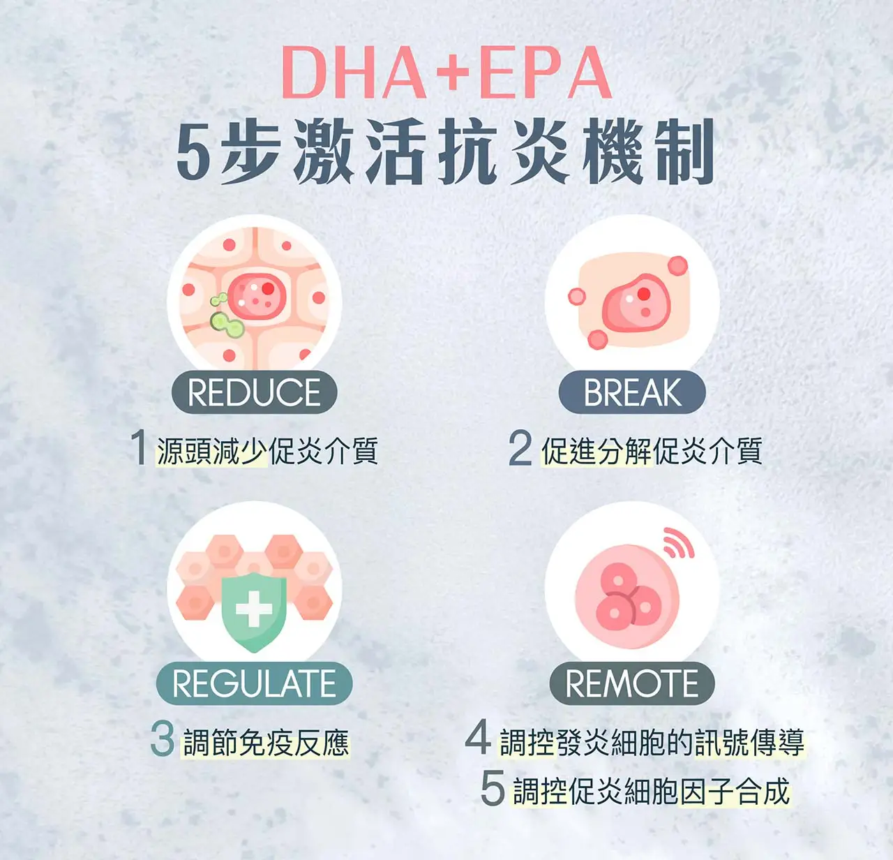 SynTernals 純素 Omega-3 藻油丸，從根源減少炎症，並有助強化心血管健康、補腦和增強認知力、維持視力敏銳