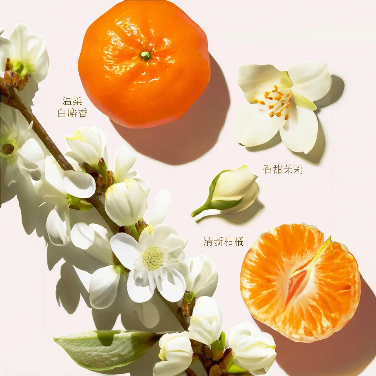 Abyssian 髮芯三鏈修護洗髮水 - Image 7