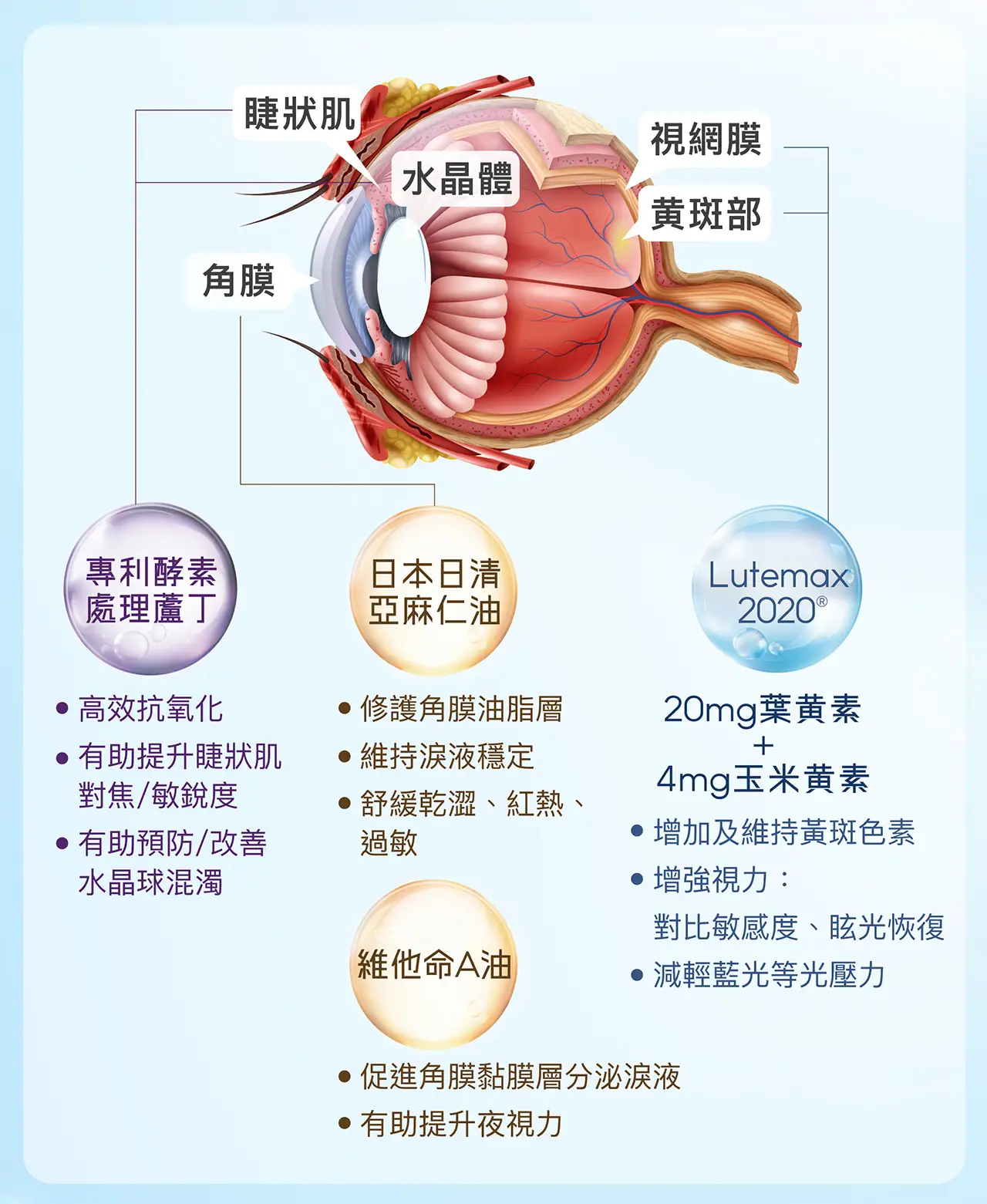 20251126 POME Eye Supplement Landing Page v2 09