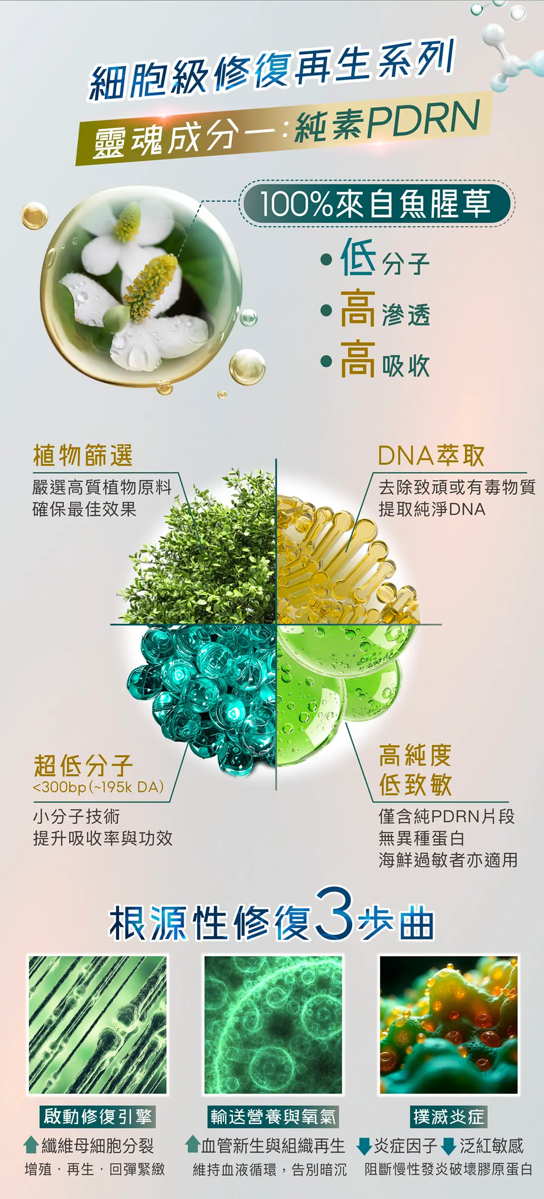 INVITY New Launch Landing Page PDRN Cream Collagen Serum V3 1