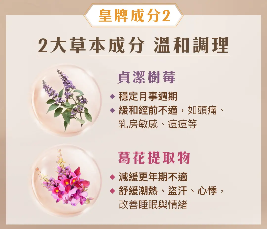 20260306 SF Comfort Cocoa landing page v3 07