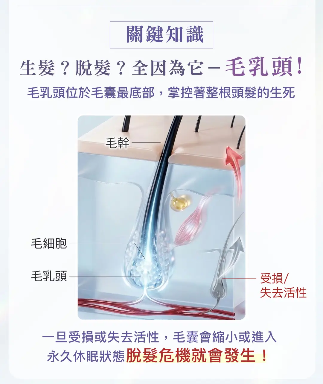 20260323 CERM Annurca Advanced Hair Support Landing Page v3 07