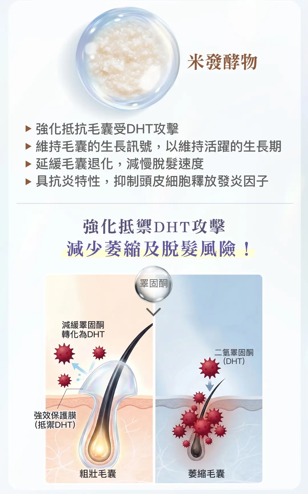 20260323 CERM Annurca Advanced Hair Support Landing Page v3 08