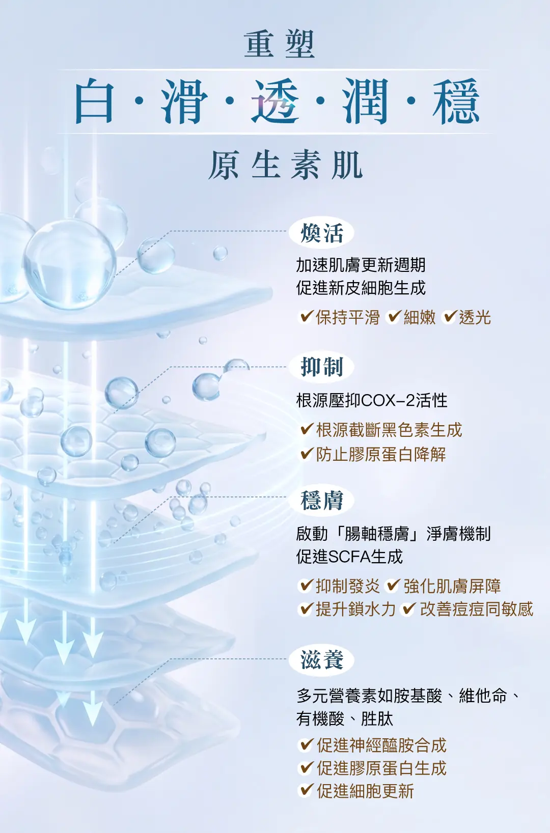 20260528 Landing page First snow radiance powder v2 04