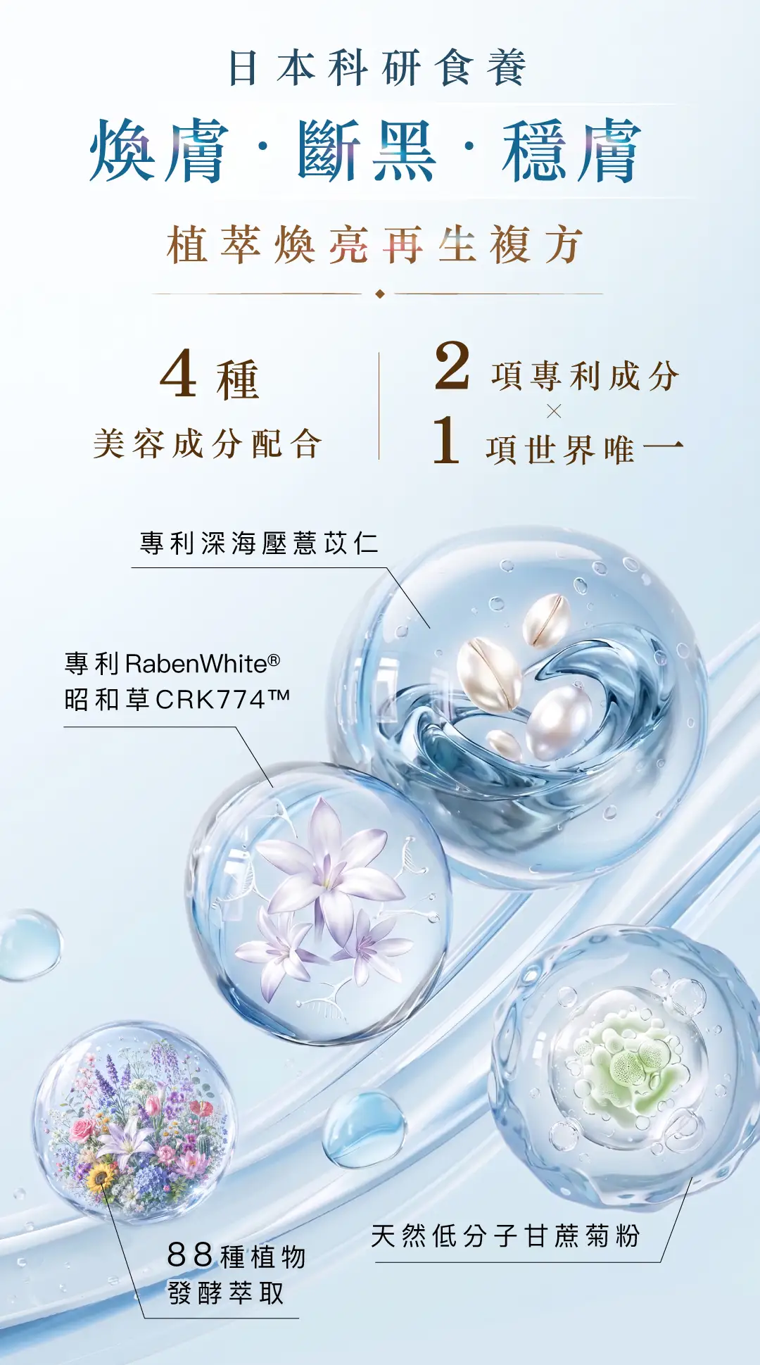 20260528 Landing page First snow radiance powder v2 05