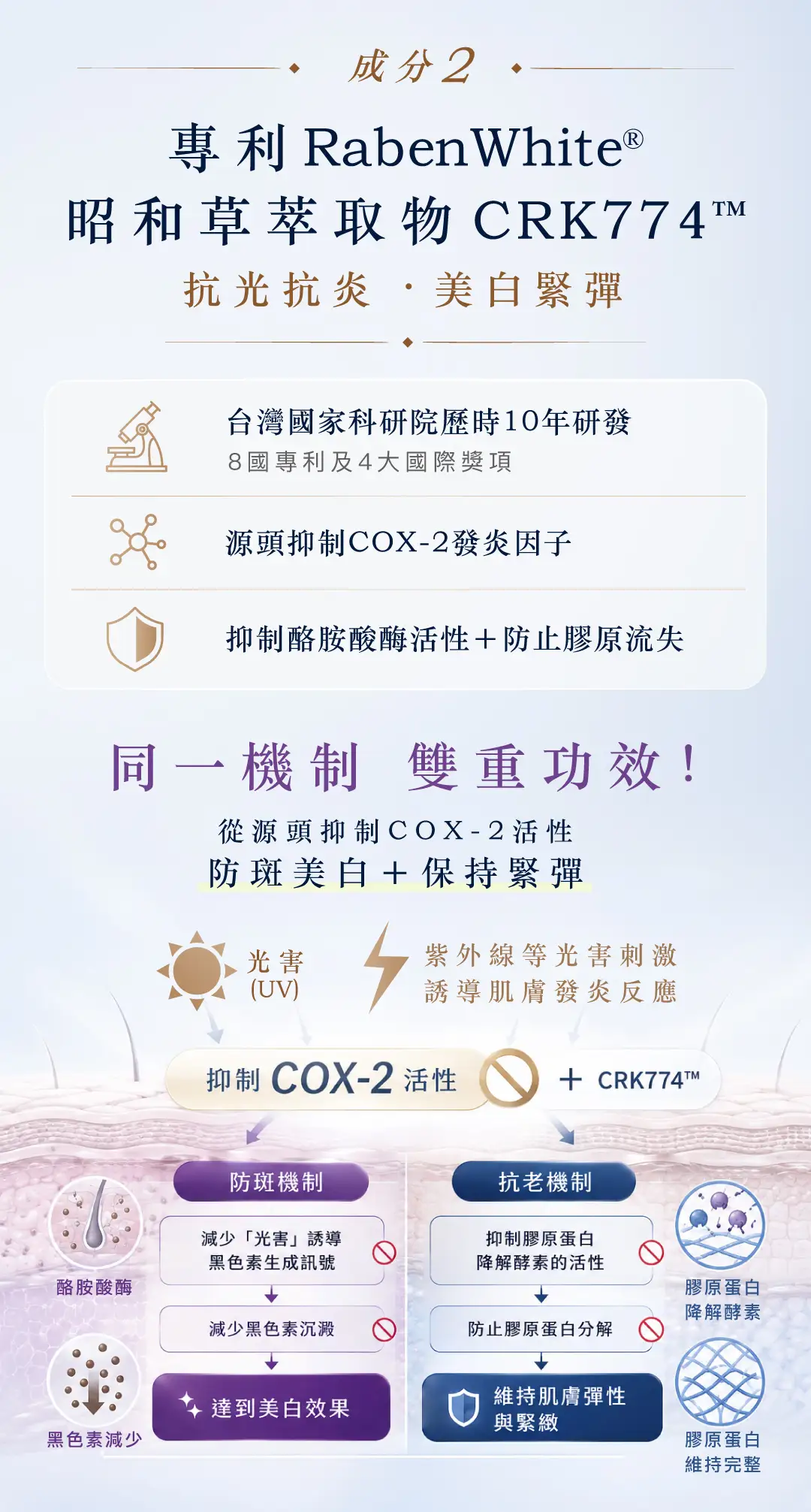 20260528 Landing page First snow radiance powder v2 08