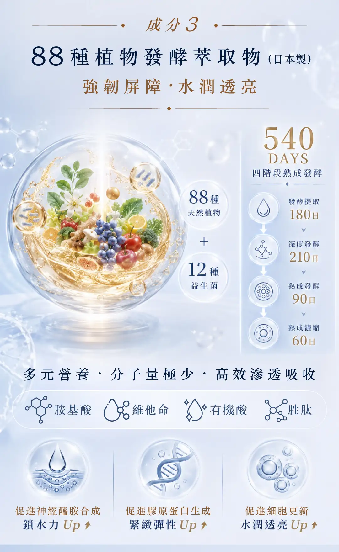 20260528 Landing page First snow radiance powder v2 09