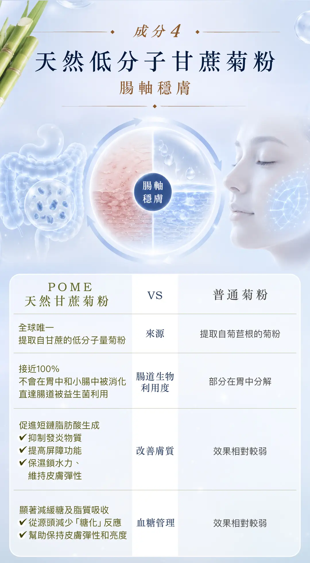 20260528 Landing page First snow radiance powder v2 10