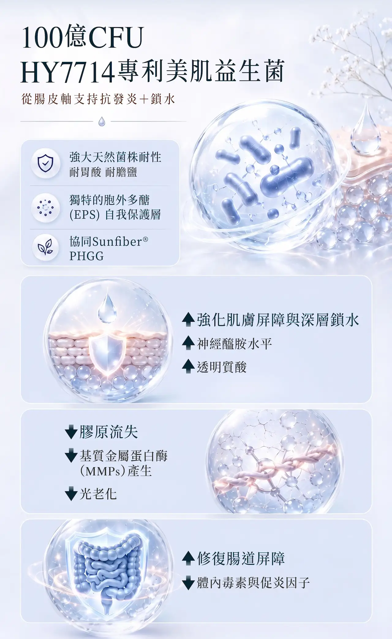 100億CFU HY7714專利美肌益生菌，透過腸皮軸支持肌膚健康，配合Sunfiber® PHGG益生元，強化腸道屏障、深層保濕鎖水，防止膠原流失及光老化；透過修復腸道屏障，改善敏感及乾燥問題。