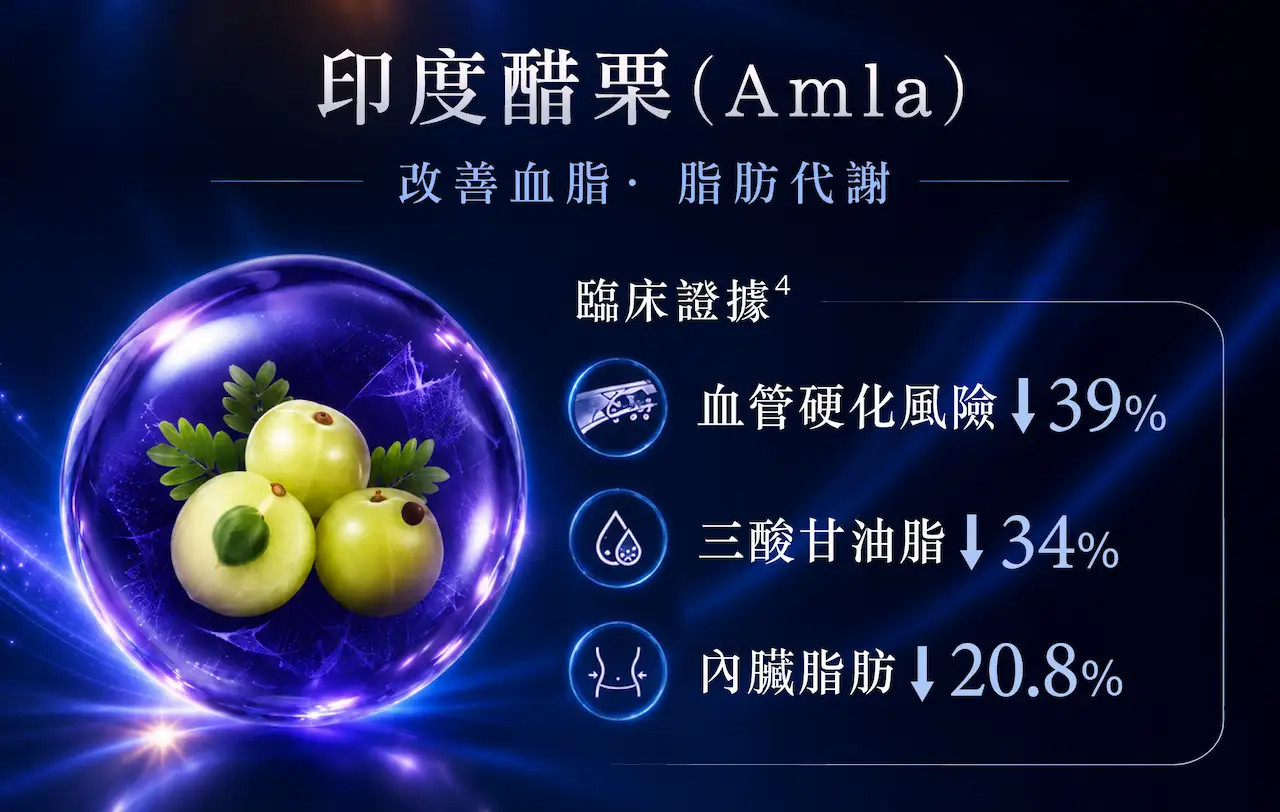 METABOLYN™ 3印度醋栗Amla萃取物，支援血脂健康及脂肪代謝，維持心血管代謝平衡