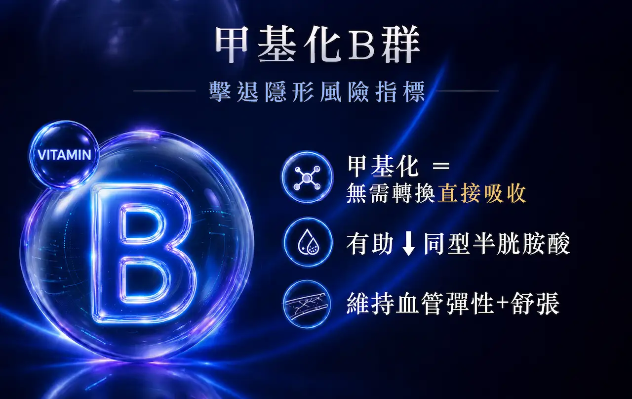 甲基化B群配方，採用高活性高吸收維他命B群成分，支援代謝健康、血管彈性及心血管保養，維持正常同型半胱胺酸水平