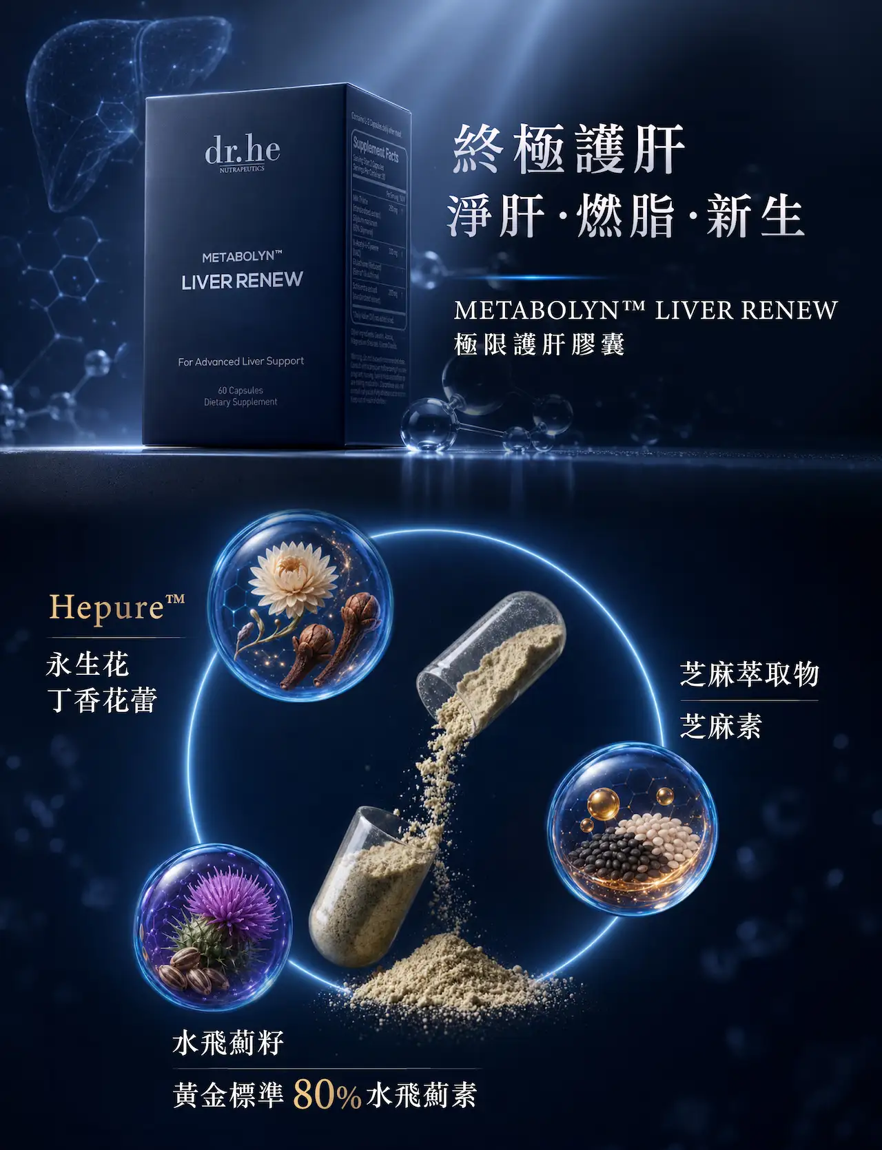 METABOLYN™ LIVER RENEW極限護肝膠囊，結合Hepure™永生花丁香花蕾、水飛薊籽及芝麻萃取物等科研成分，支援肝臟健康、肝臟代謝及抗氧化保護