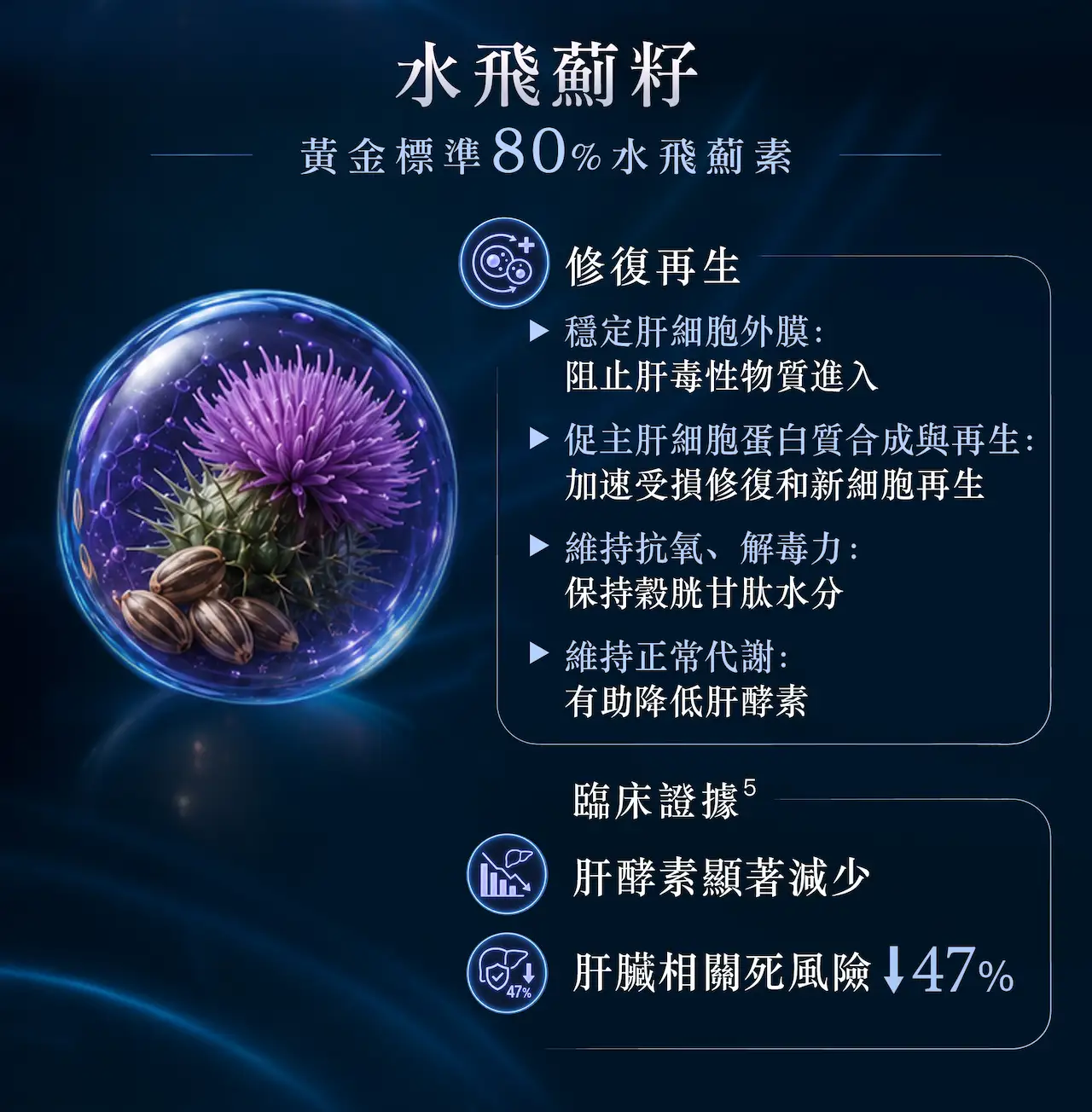 METABOLYN™ LIVER RENEW水飛薊籽護肝配方，含黃金標準80%水飛薊素，支援肝臟健康、抗氧化保護及肝細胞修復，協助維持正常肝臟代謝功能