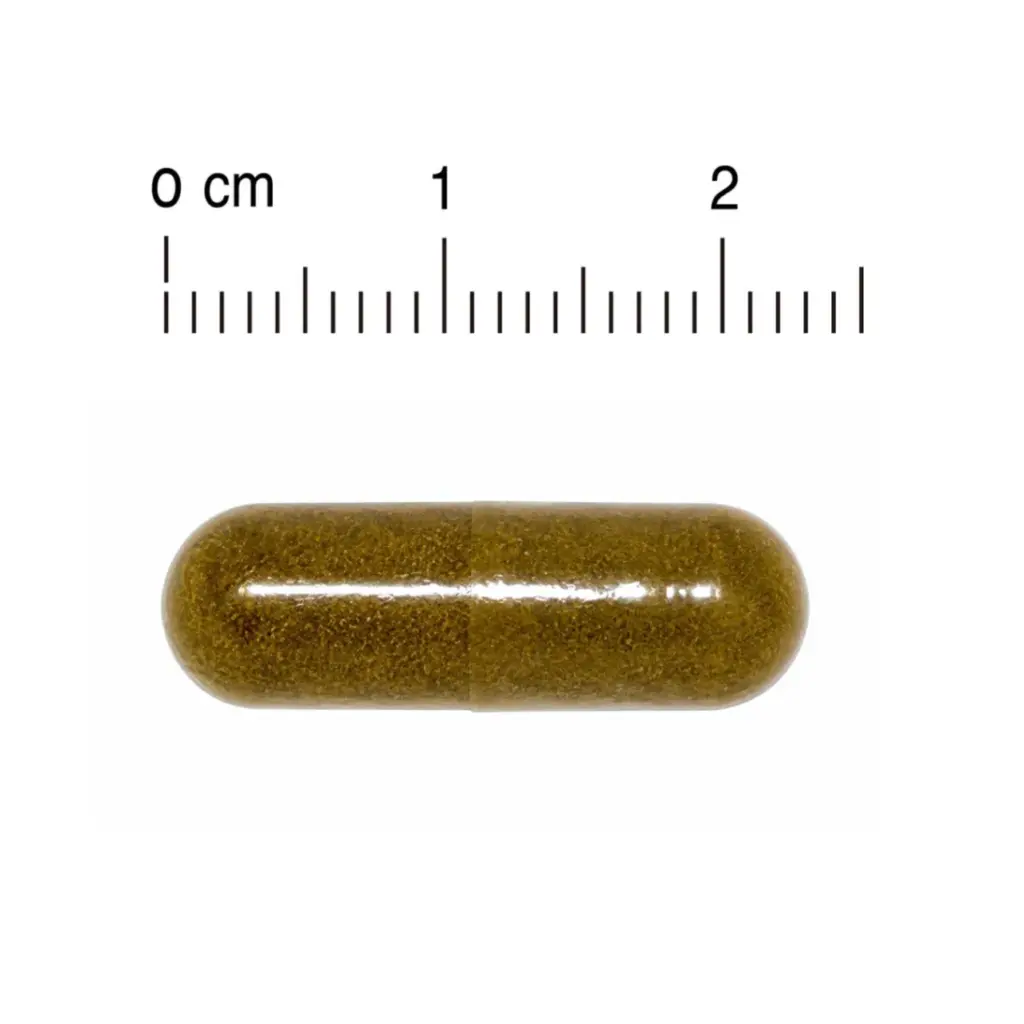 Blossom Colon Cleanser 淨腸排宿便丸