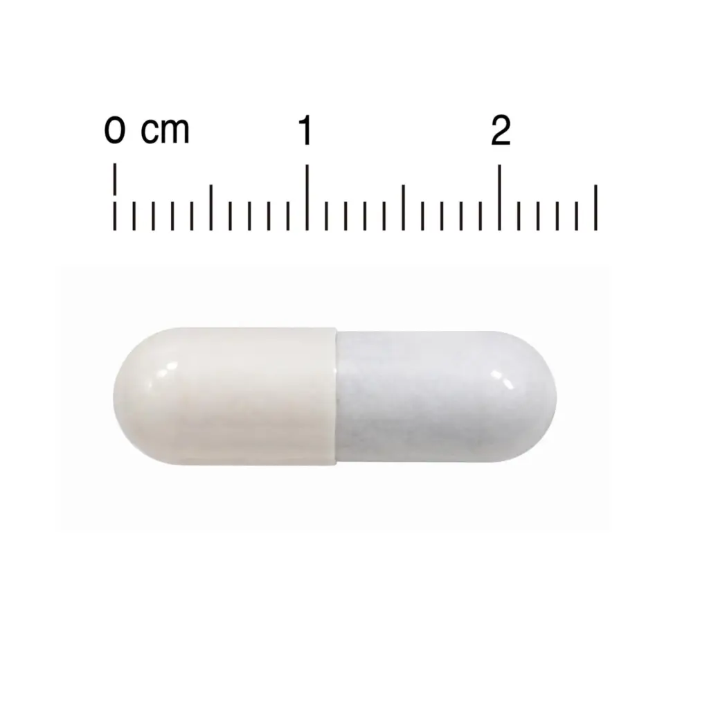 CERM The Skin Supplement 森煥光嫩肌保濕丸