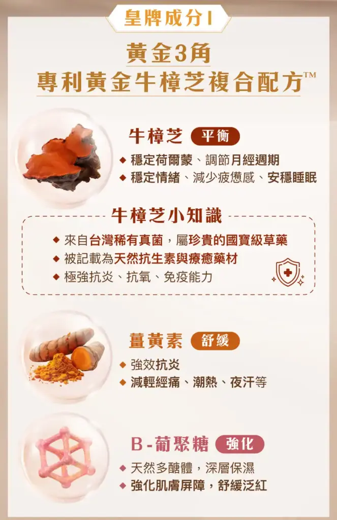 Snow Fox Comfort Cocoa 黃金牛樟芝™ 輕鬆每月可可飲