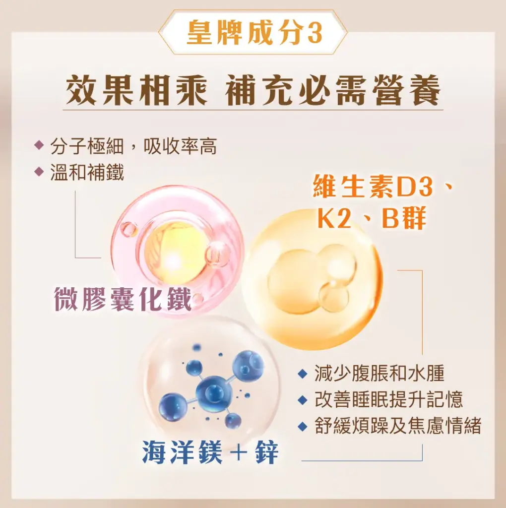 Snow Fox Comfort Cocoa 黃金牛樟芝™ 輕鬆每月可可飲