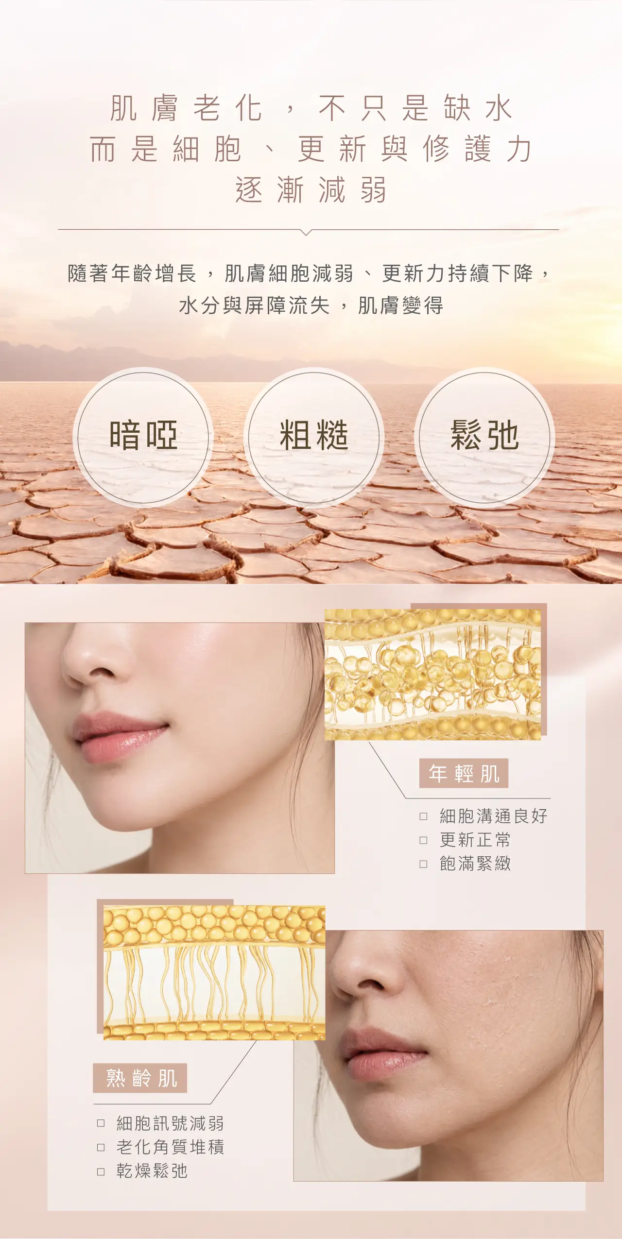 Synergie Skin-肌膚老化點改善？針對暗啞、粗糙及鬆弛